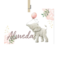 Geboortekaartje naam Almeda m2