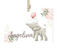 Geboortekaartje naam Angeline m2