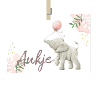 Geboortekaartje naam Aukje m2