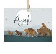 Geboortekaartje naam Aurik j2