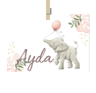 Geboortekaartje naam Ayda m2