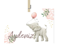 Geboortekaartje naam Aydeniz m2