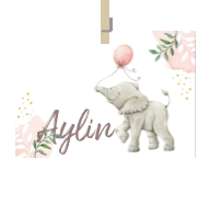 Geboortekaartje naam Aylin m2