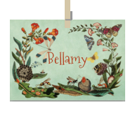 Kaart van Naam Bellamy