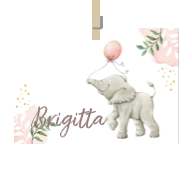 Geboortekaartje naam Brigitta m2