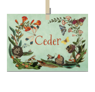 Geboortekaartje naam Ceder u2