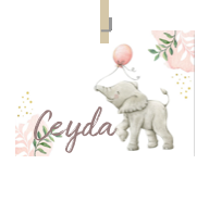Kaart van Naam Ceyda