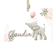 Geboortekaartje naam Claudia m2