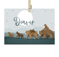 Geboortekaartje naam Denver j2