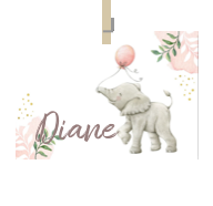 Geboortekaartje naam Diane m2