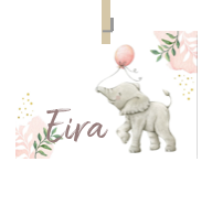 Geboortekaartje naam Eira m2