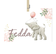 Geboortekaartje naam Fedda m2