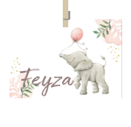 Geboortekaartje naam Feyza m2