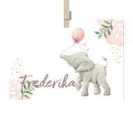 Geboortekaartje naam Frederika m2
