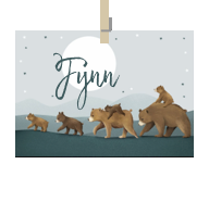 Geboortekaartje naam Fynn j2