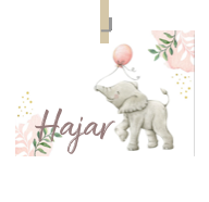 Geboortekaartje naam Hajar m2