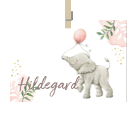 Geboortekaartje naam Hildegard m2
