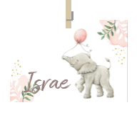 Geboortekaartje naam Israe m2