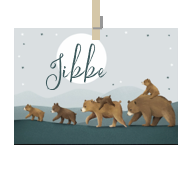 Geboortekaartje naam Jibbe j2