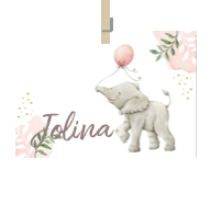 Geboortekaartje naam Jolina m2