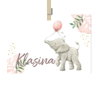 Geboortekaartje naam Klasina m2
