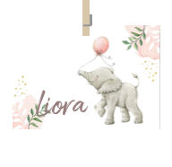 Geboortekaartje naam Liora m2