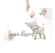 Geboortekaartje naam Luna Rose m2