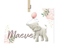 Geboortekaartje naam Maeve m2