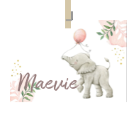 Geboortekaartje naam Maevie m2