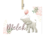 Geboortekaartje naam Melek m2