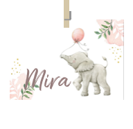 Geboortekaartje naam Mira m2