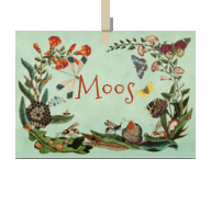 Kaart van Naam Moos
