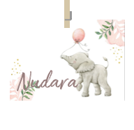 Geboortekaartje naam Nudara m2