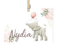 Geboortekaartje naam Nydia m2