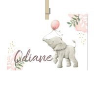 Geboortekaartje naam Odiane m2