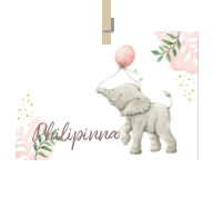 Geboortekaartje naam Philipinna m2