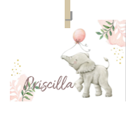 Geboortekaartje naam Priscilla m2
