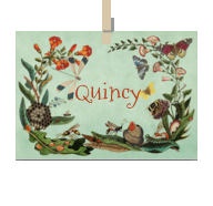 Geboortekaartje naam Quincy u2