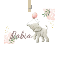 Geboortekaartje naam Rabia m2