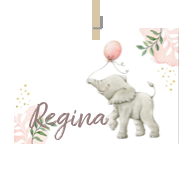 Geboortekaartje naam Regina m2