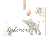 Geboortekaartje naam Roderica m2