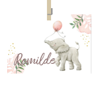 Geboortekaartje naam Romilde m2