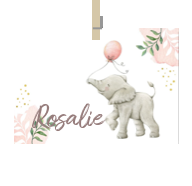 Kaart van Naam Rosalie