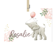 Geboortekaartje naam Rosalie m2