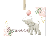 Geboortekaartje naam Rosamaria m2