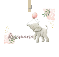 Geboortekaartje naam Rosemaria m2