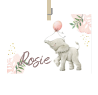 Kaart van Naam Rosie