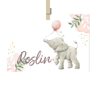 Geboortekaartje naam Roslin m2
