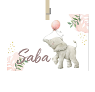 Geboortekaartje naam Saba m2