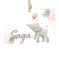 Geboortekaartje naam Saga m2